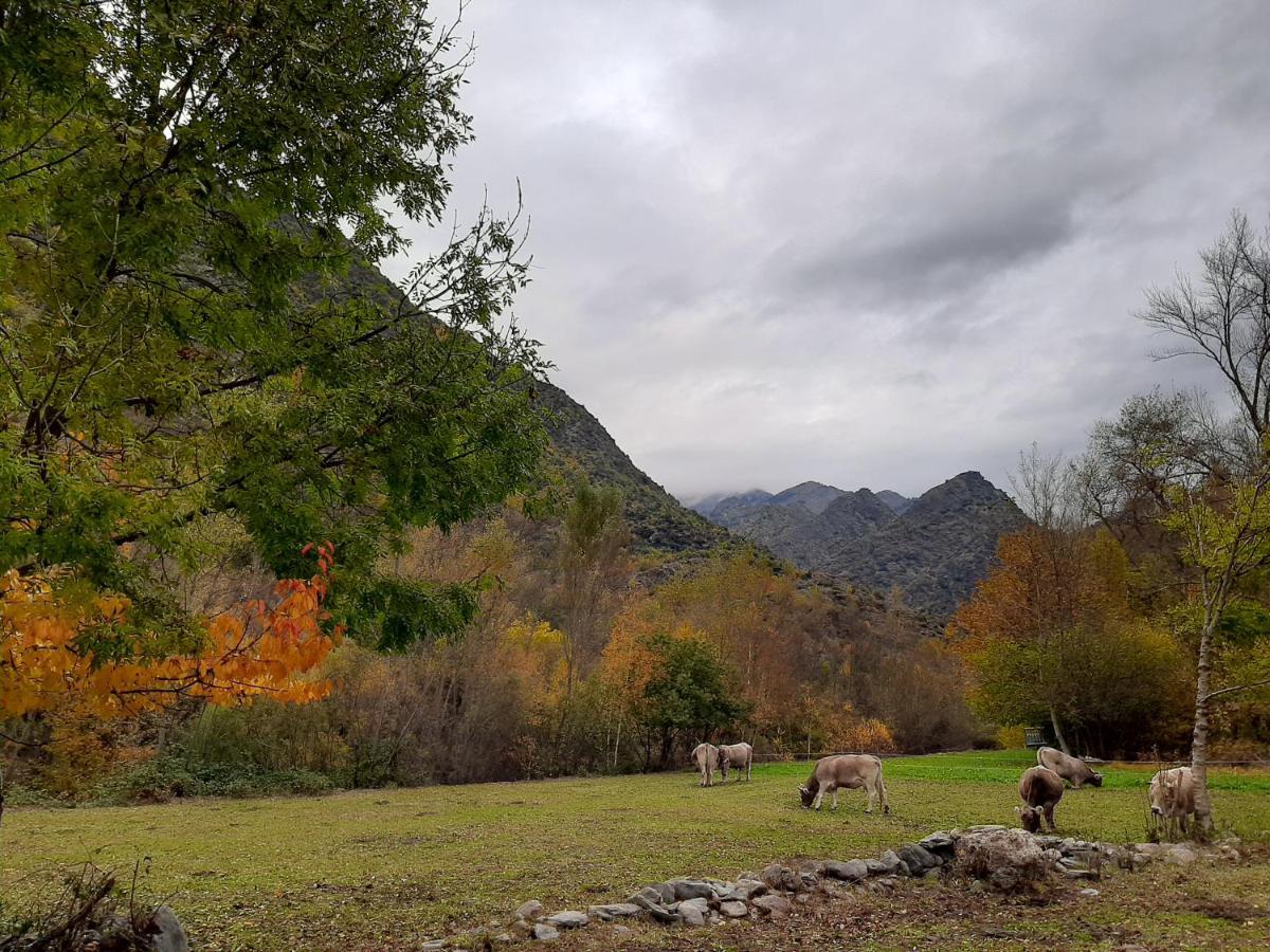 Apartaments La Canal Alins Bagian luar foto